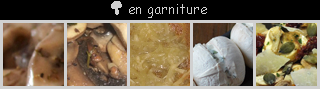 lien recette champignon de paris en garniture